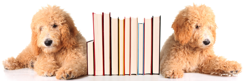 Innovative Methods to Preserve a Tidy Environment After Decluttering